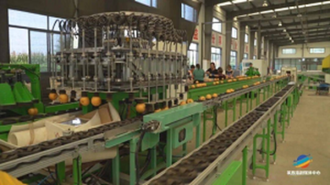 최초의 과일 표준화 원산지 서비스 포럼