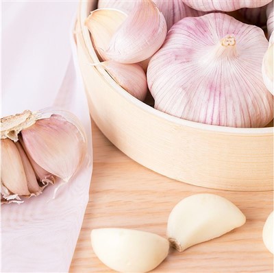 아시아 자연 풍미