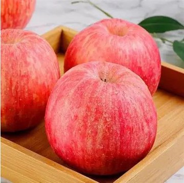 아삭하고 달콤한 사과