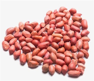 신선한 대형 생 땅콩