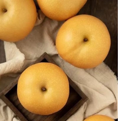 거대한 아시아 배