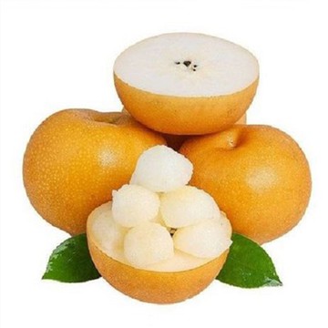 Qiuyue 아시아 배